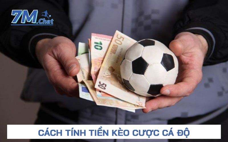 Cách tính tiền kèo cược cá độ thể thao, bóng đá trực tuyến